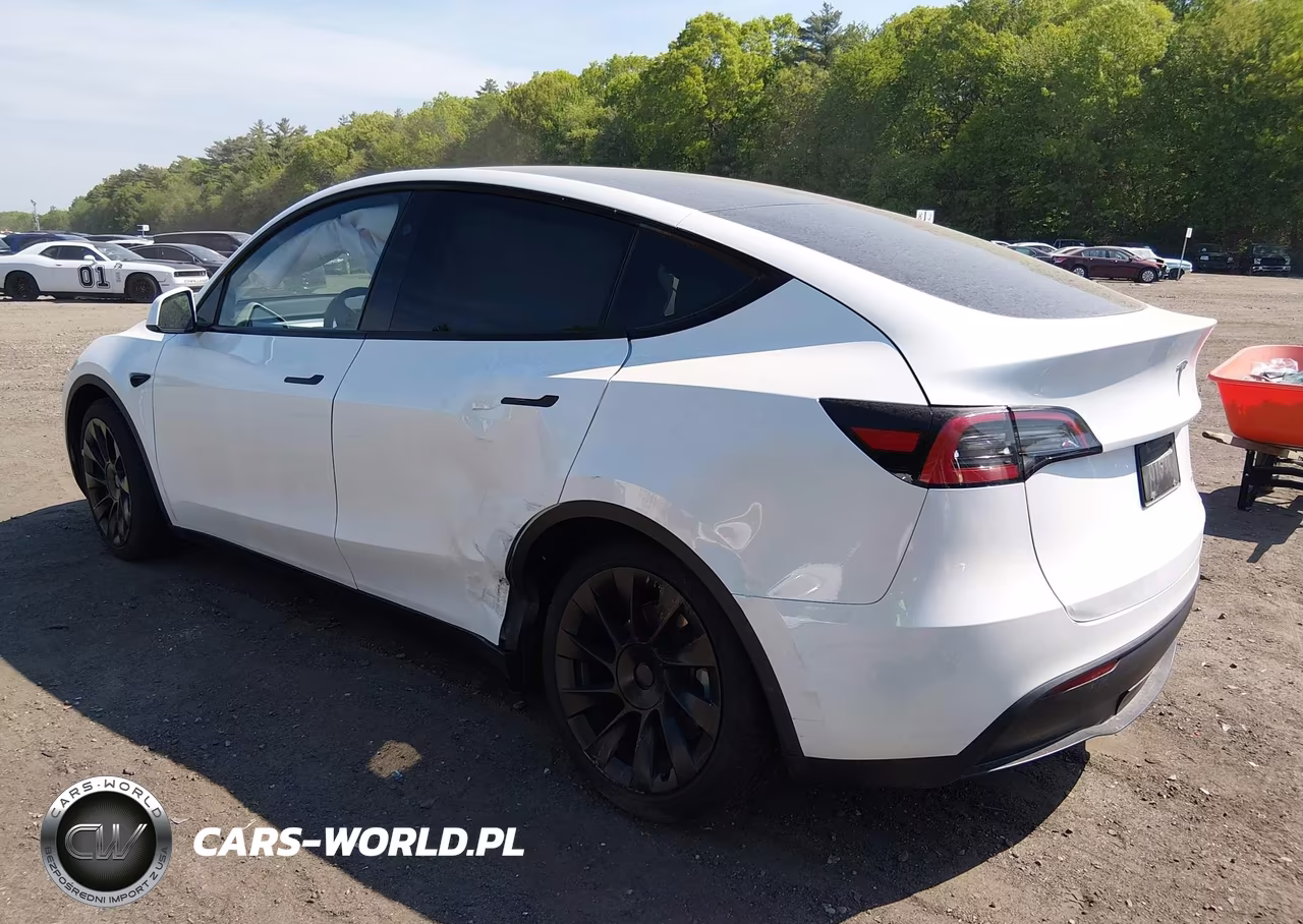 2023 Tesla Model Y VIN:7SAYGDEE7PA198050 - 3