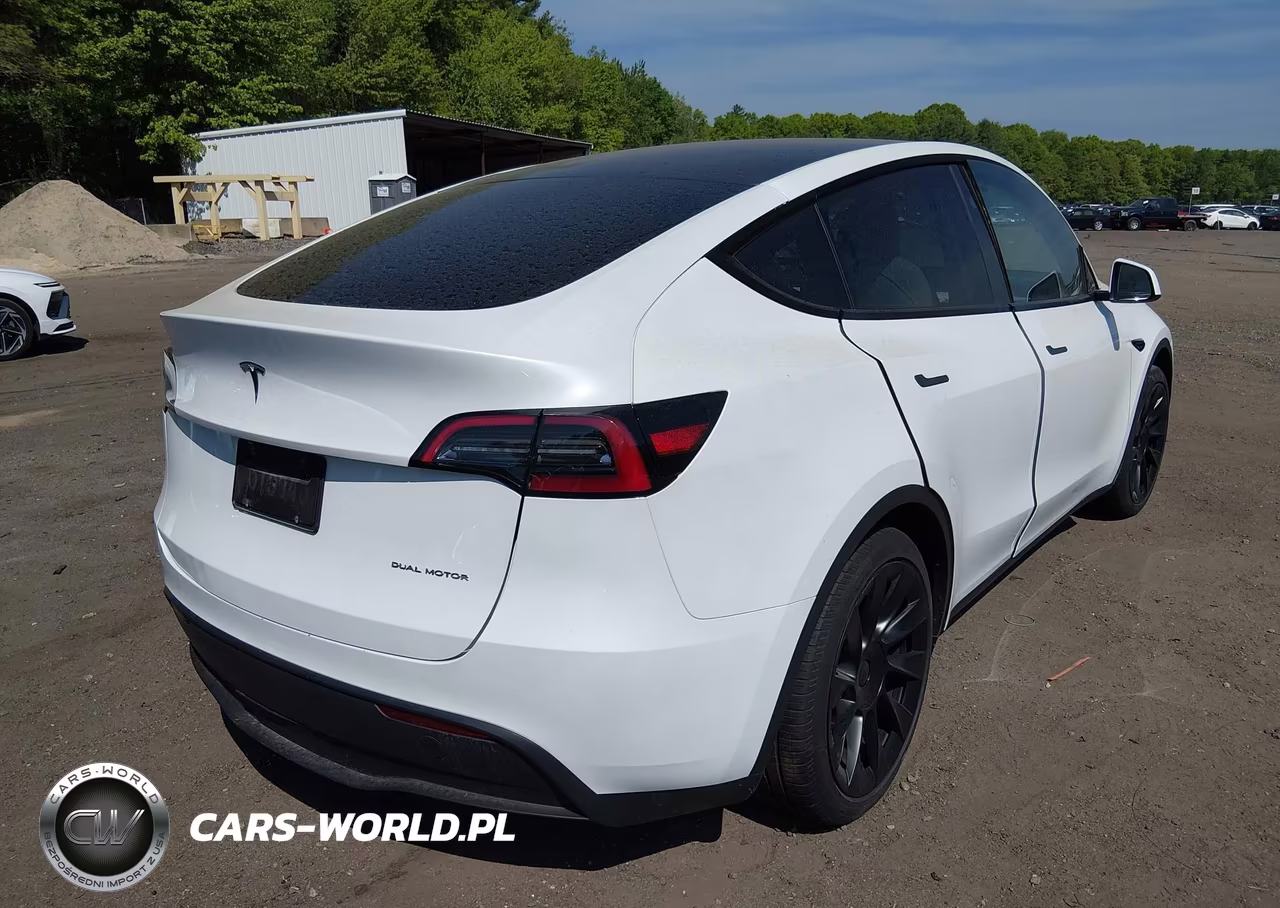 2023 Tesla Model Y VIN:7SAYGDEE7PA198050 - 4