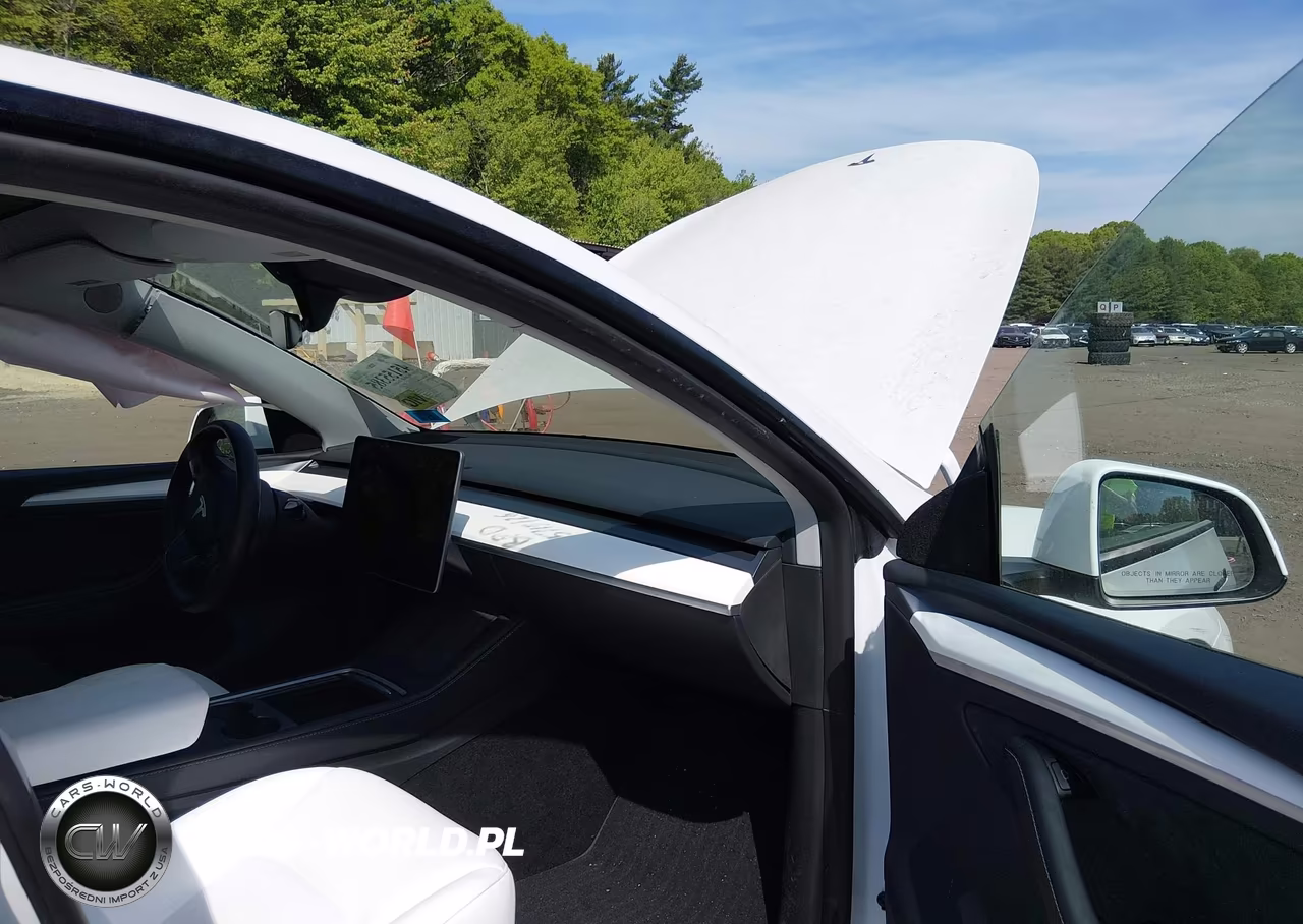 2023 Tesla Model Y VIN:7SAYGDEE7PA198050 - 5