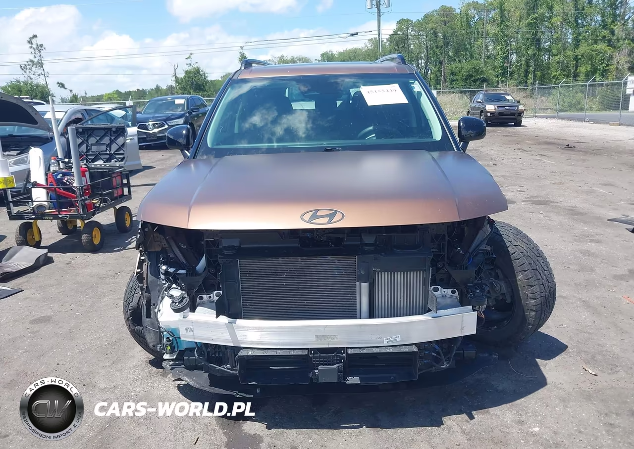 2024 Hyundai Santa Fe Xrt VIN:5NMP3DGL0RH004446 - 12