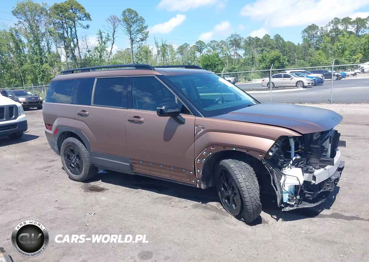 2024 Hyundai Santa Fe Xrt VIN:5NMP3DGL0RH004446 - 13