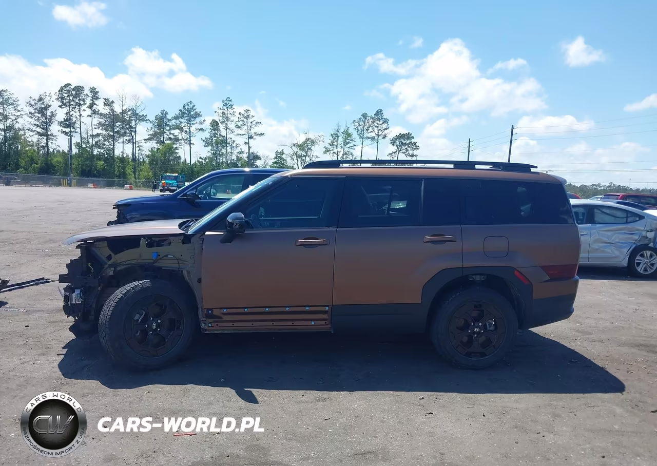 2024 Hyundai Santa Fe Xrt VIN:5NMP3DGL0RH004446 - 14