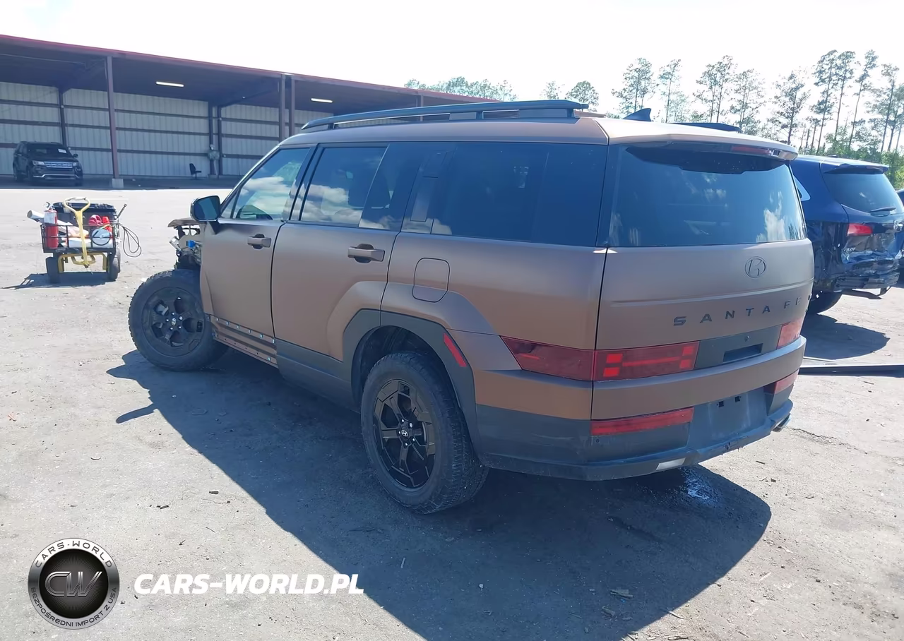 2024 Hyundai Santa Fe Xrt VIN:5NMP3DGL0RH004446 - 3
