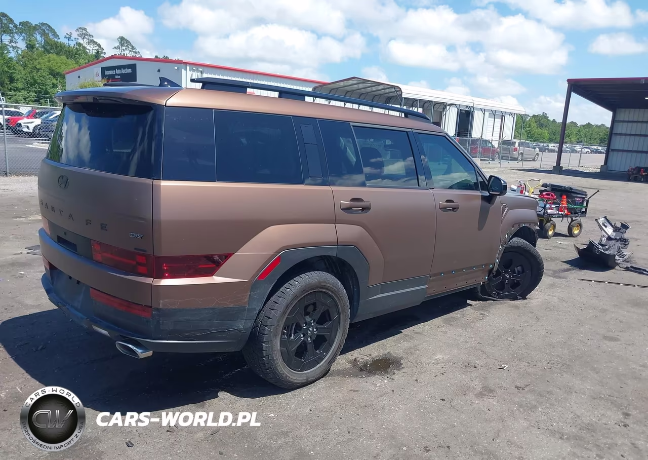 2024 Hyundai Santa Fe Xrt VIN:5NMP3DGL0RH004446 - 4
