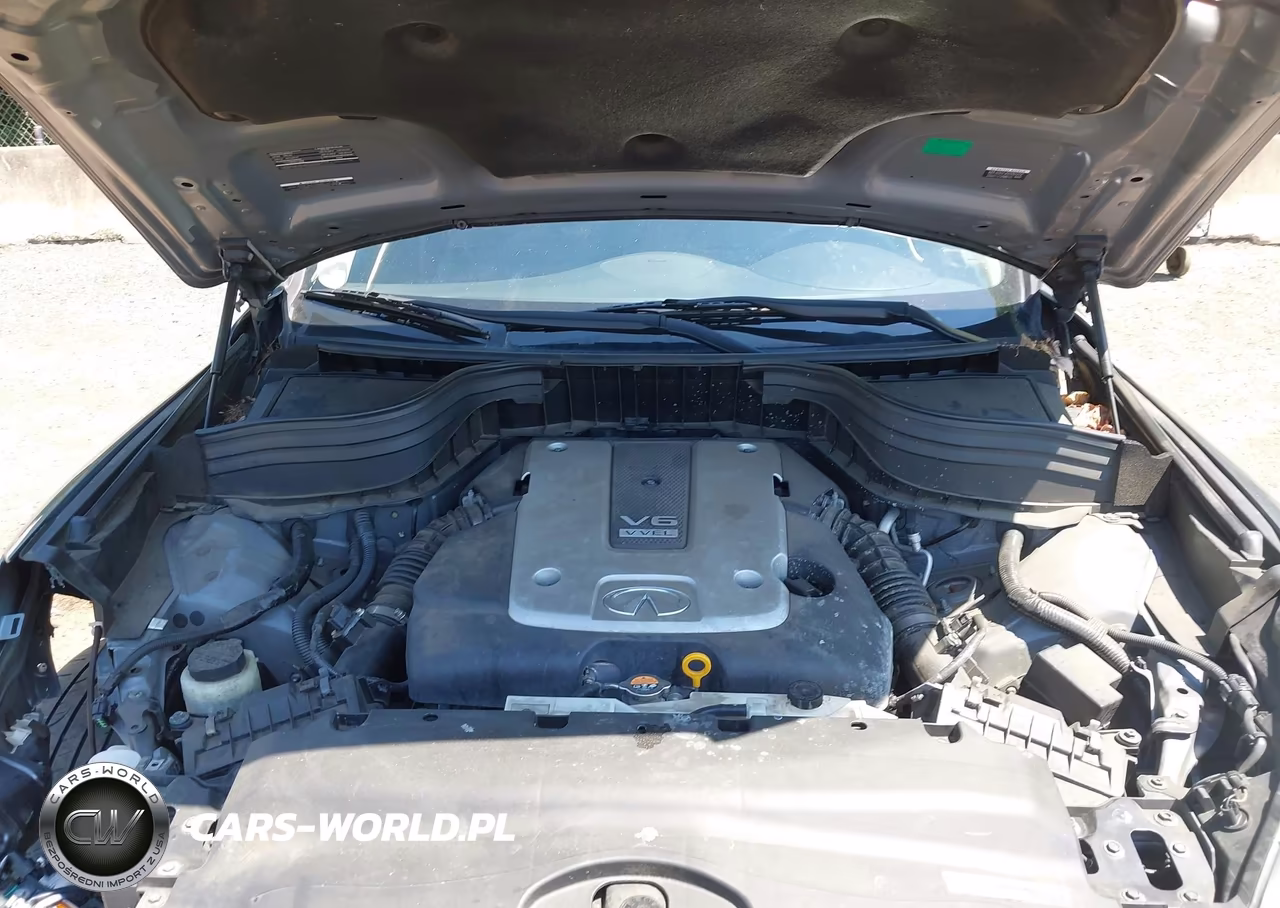 2016 Infiniti Qx50 VIN:JN1BJ0RR6GM269679 - 10