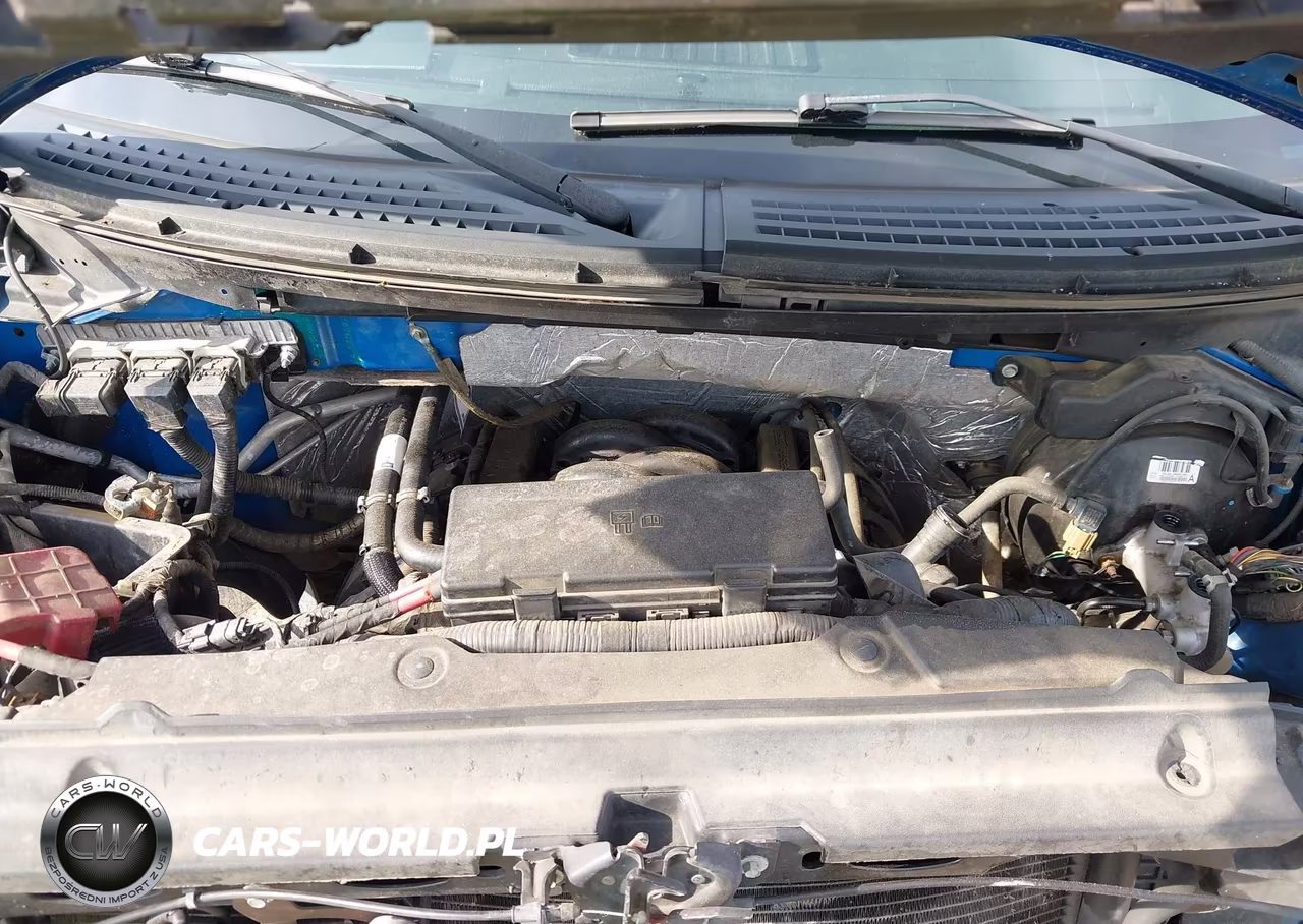 2013 Ford F-150 Stx VIN:1FTFX1EF0DFD10239 - 10