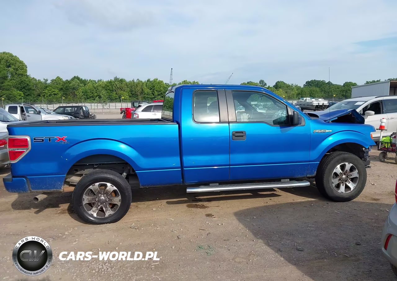 2013 Ford F-150 Stx VIN:1FTFX1EF0DFD10239 - 13