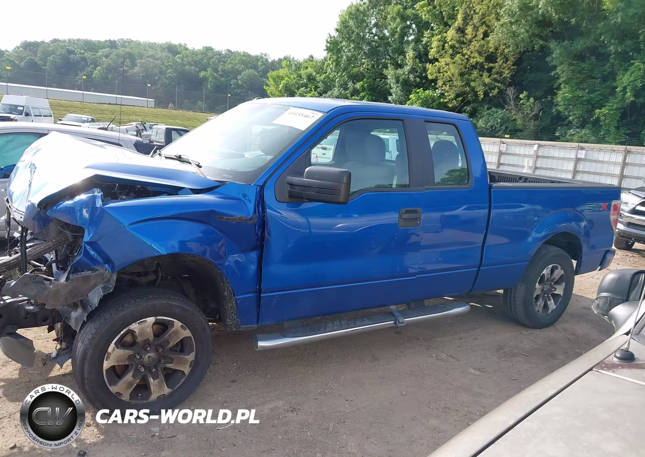 2013 Ford F-150 Stx VIN:1FTFX1EF0DFD10239 - 14