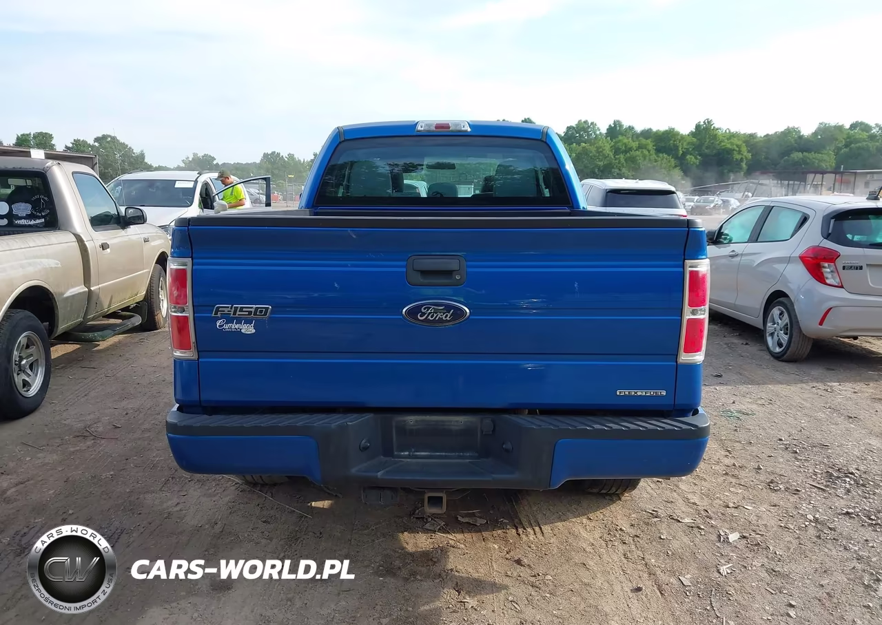2013 Ford F-150 Stx VIN:1FTFX1EF0DFD10239 - 16