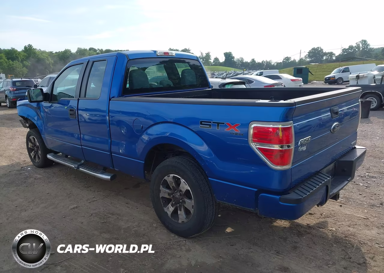 2013 Ford F-150 Stx VIN:1FTFX1EF0DFD10239 - 3