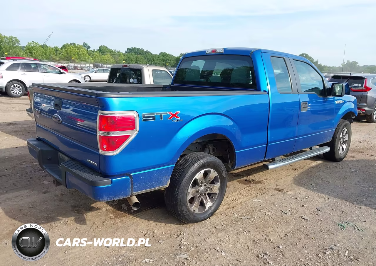 2013 Ford F-150 Stx VIN:1FTFX1EF0DFD10239 - 4