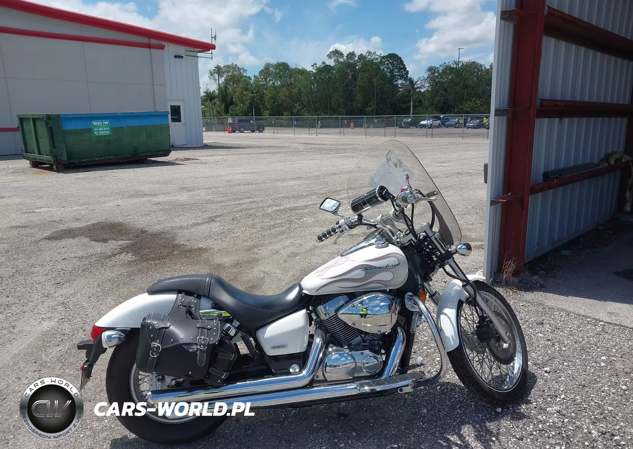 2009 Honda Vt750 C2F VIN:JH2RC53499K201933 - 12