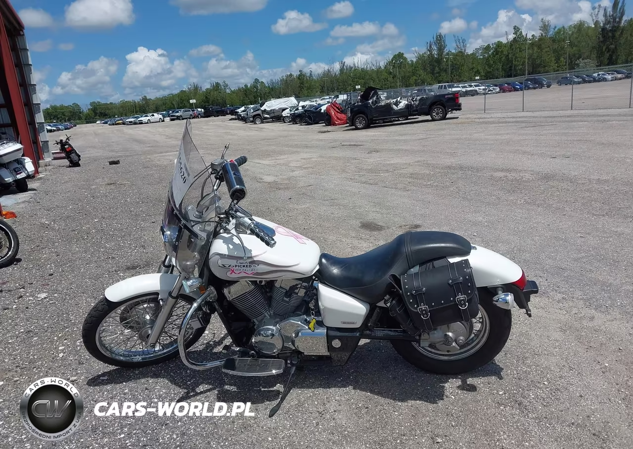 2009 Honda Vt750 C2F VIN:JH2RC53499K201933 - 13