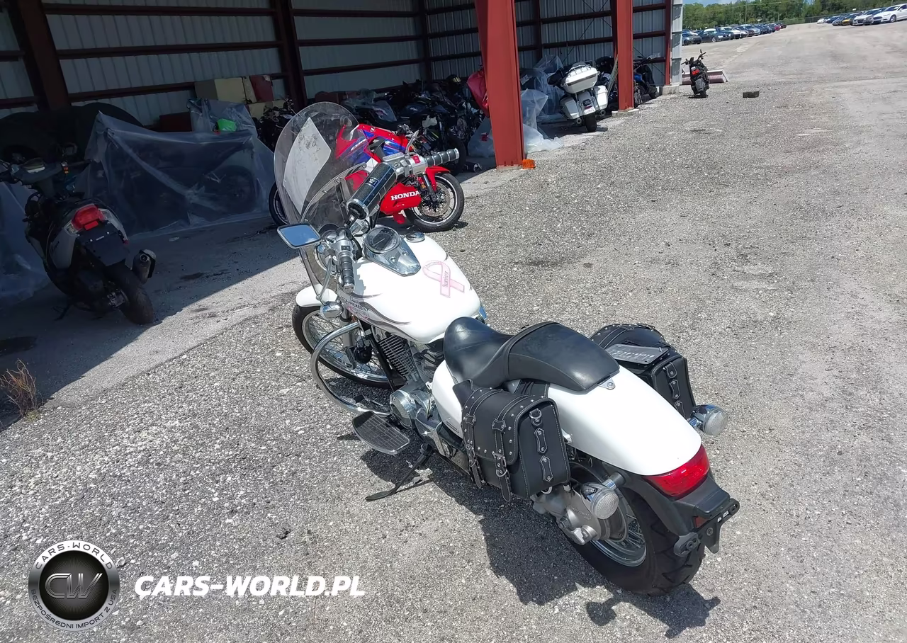2009 Honda Vt750 C2F VIN:JH2RC53499K201933 - 3
