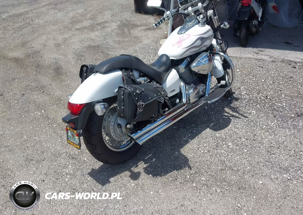 2009 Honda Vt750 C2F VIN:JH2RC53499K201933 - 4