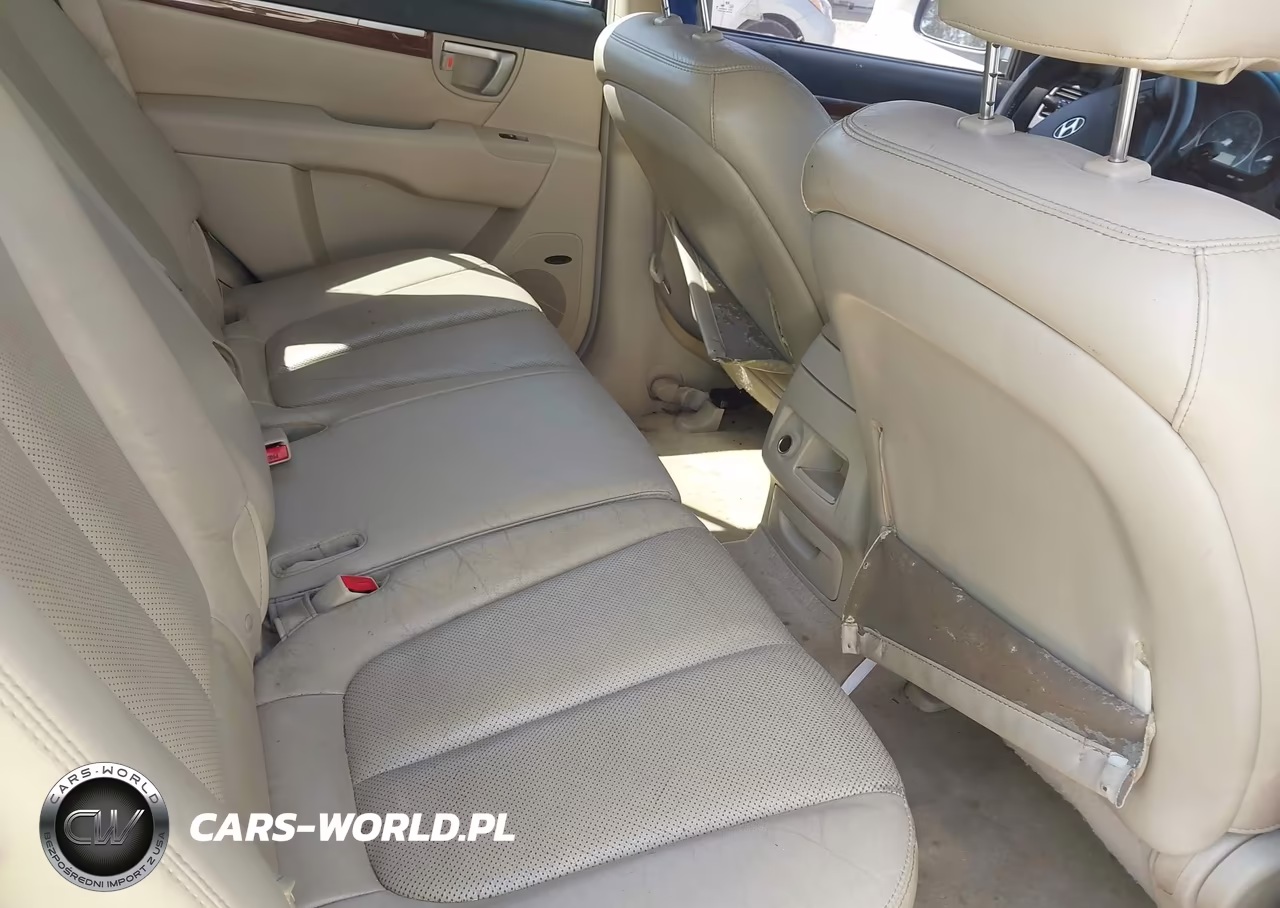 2009 Hyundai Santa Fe Limited VIN:5NMSH13E99H329775 - 8
