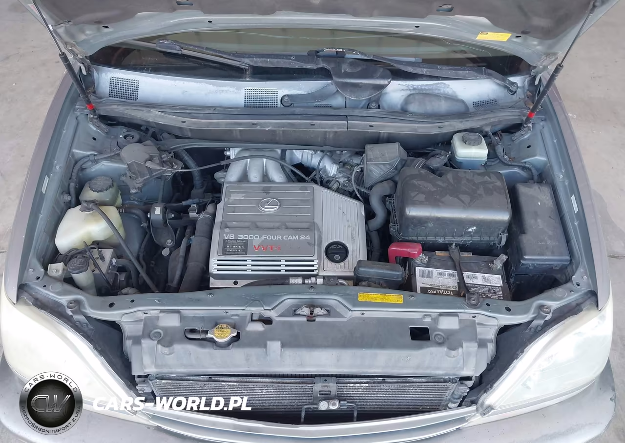 2001 Lexus Rx 300 VIN:JTJGF10U810106376 - 10