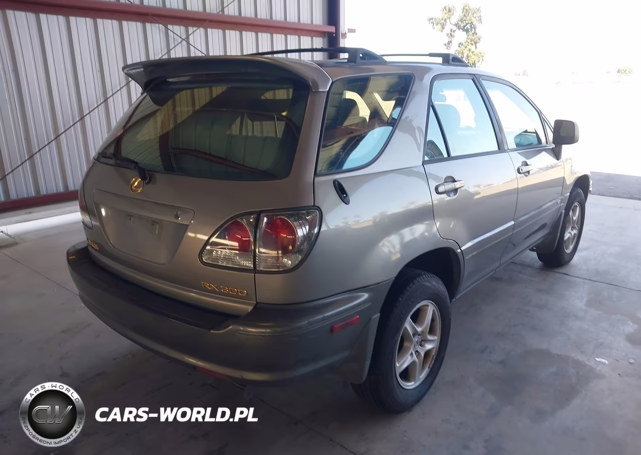 2001 Lexus Rx 300 VIN:JTJGF10U810106376 - 4