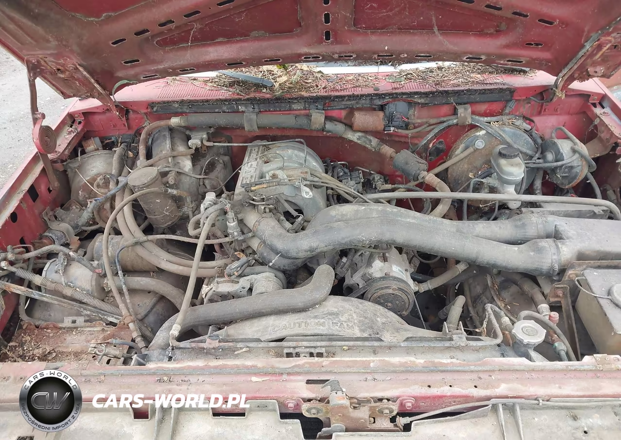 1991 Ford F150 VIN:1FTEF14N6MNA02795 - 10