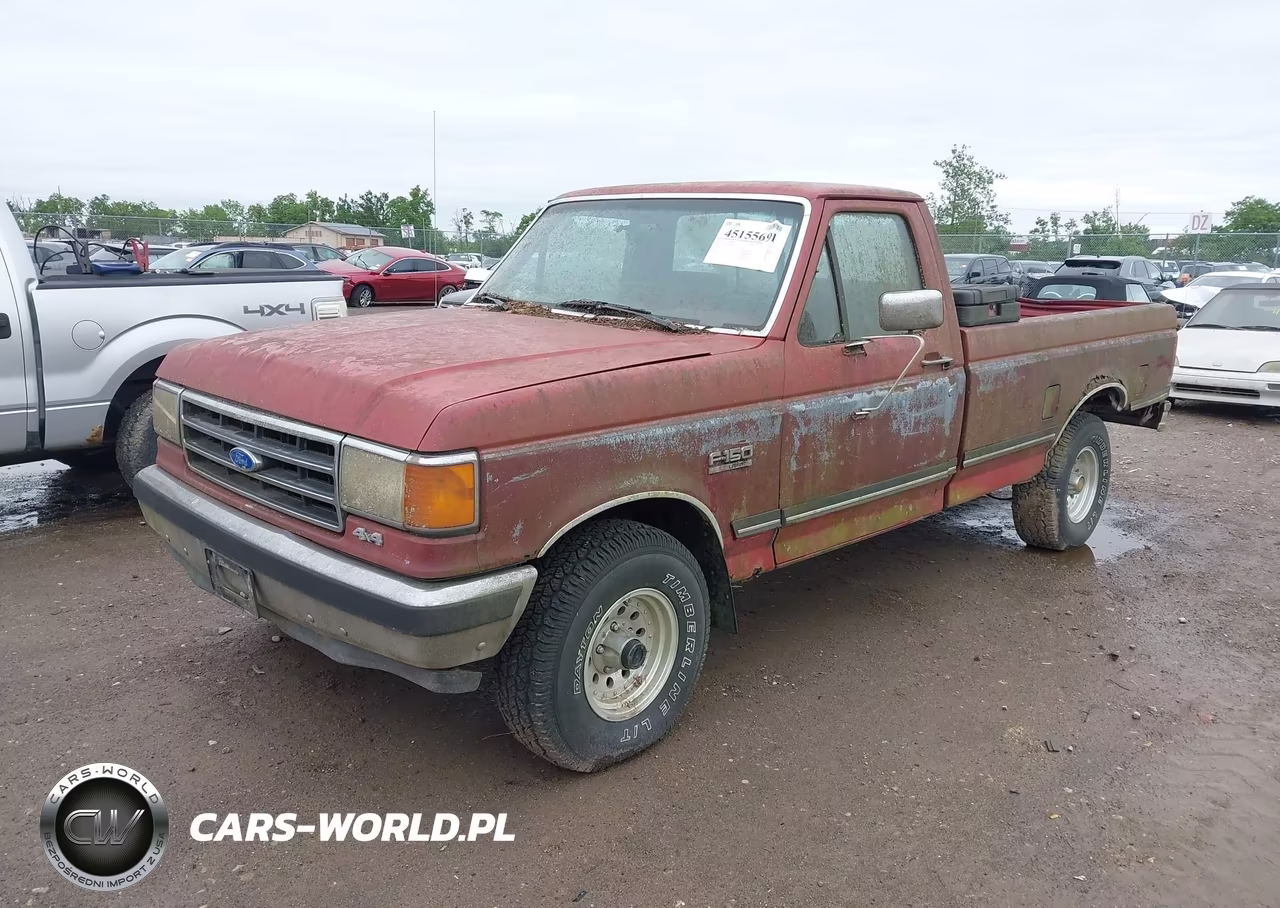 1991 Ford F150 VIN:1FTEF14N6MNA02795 - 2