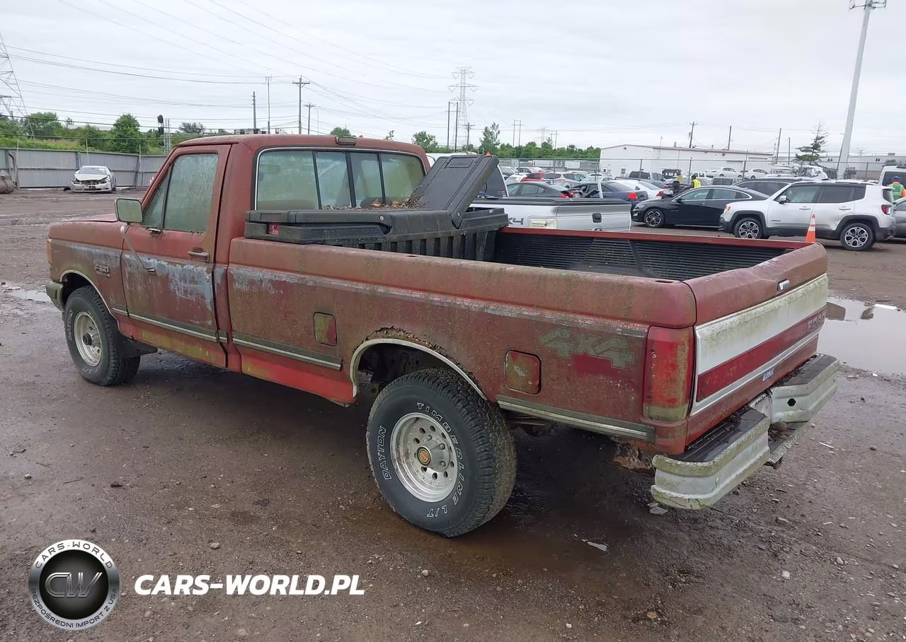 1991 Ford F150 VIN:1FTEF14N6MNA02795 - 3