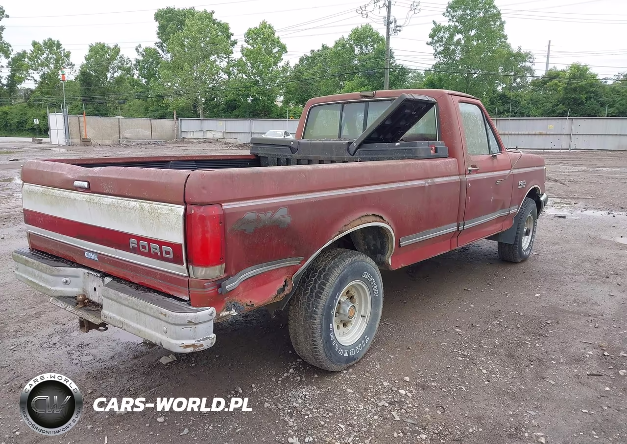 1991 Ford F150 VIN:1FTEF14N6MNA02795 - 4
