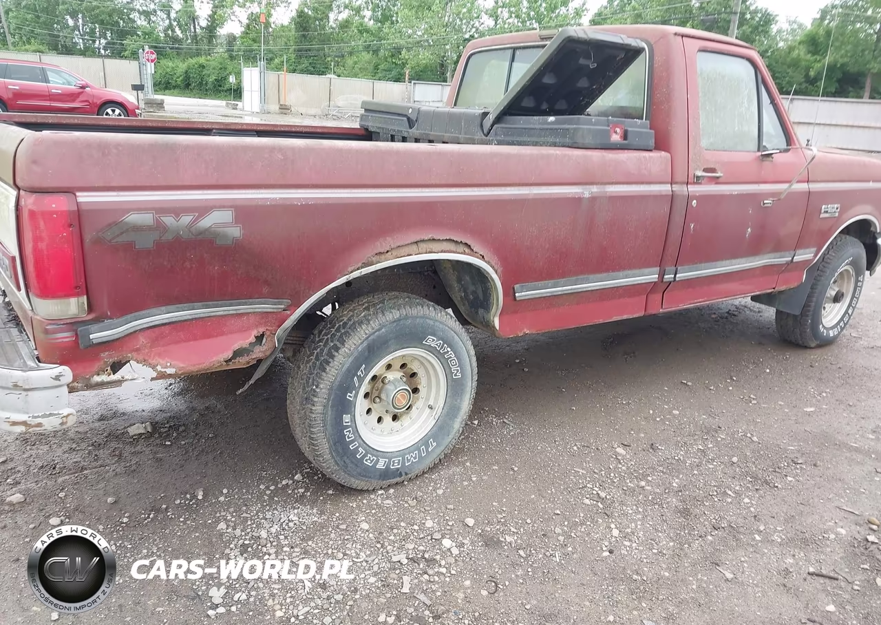 1991 Ford F150 VIN:1FTEF14N6MNA02795 - 6