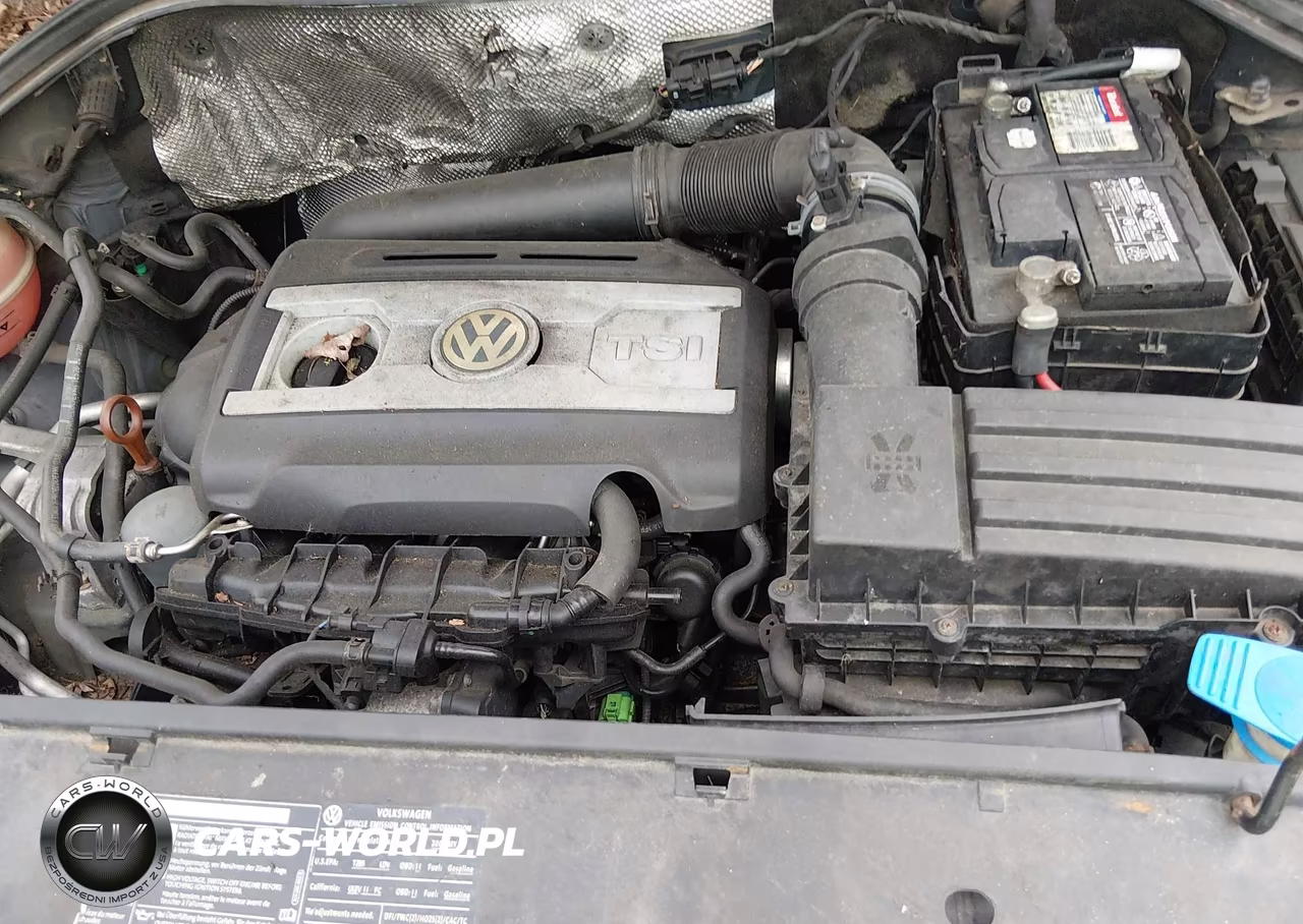 2009 Volkswagen Tiguan S-Se-Sel VIN:WVGAV75N39W003662 - 10