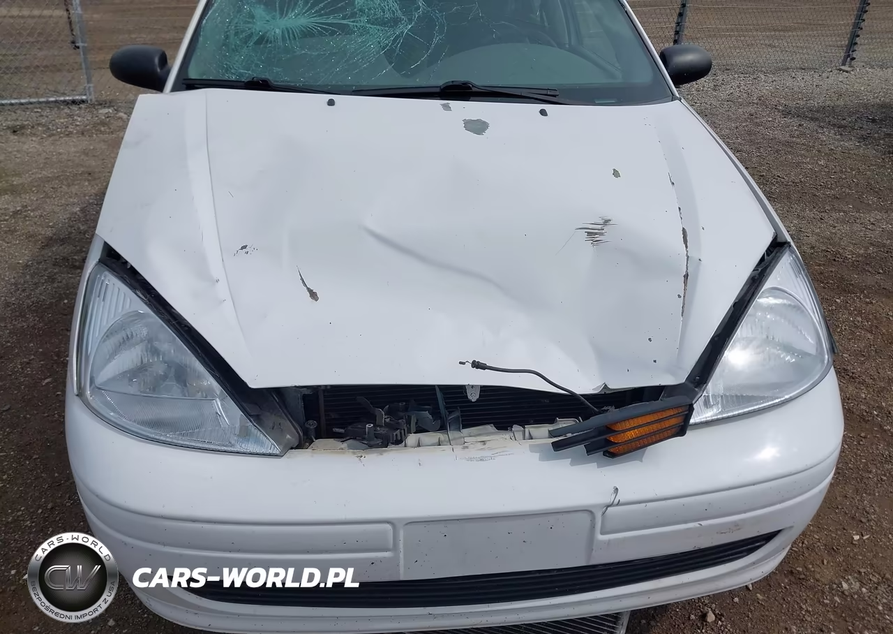 2003 Ford Focus Se-Ztw VIN:1FAFP36383W242230 - 6