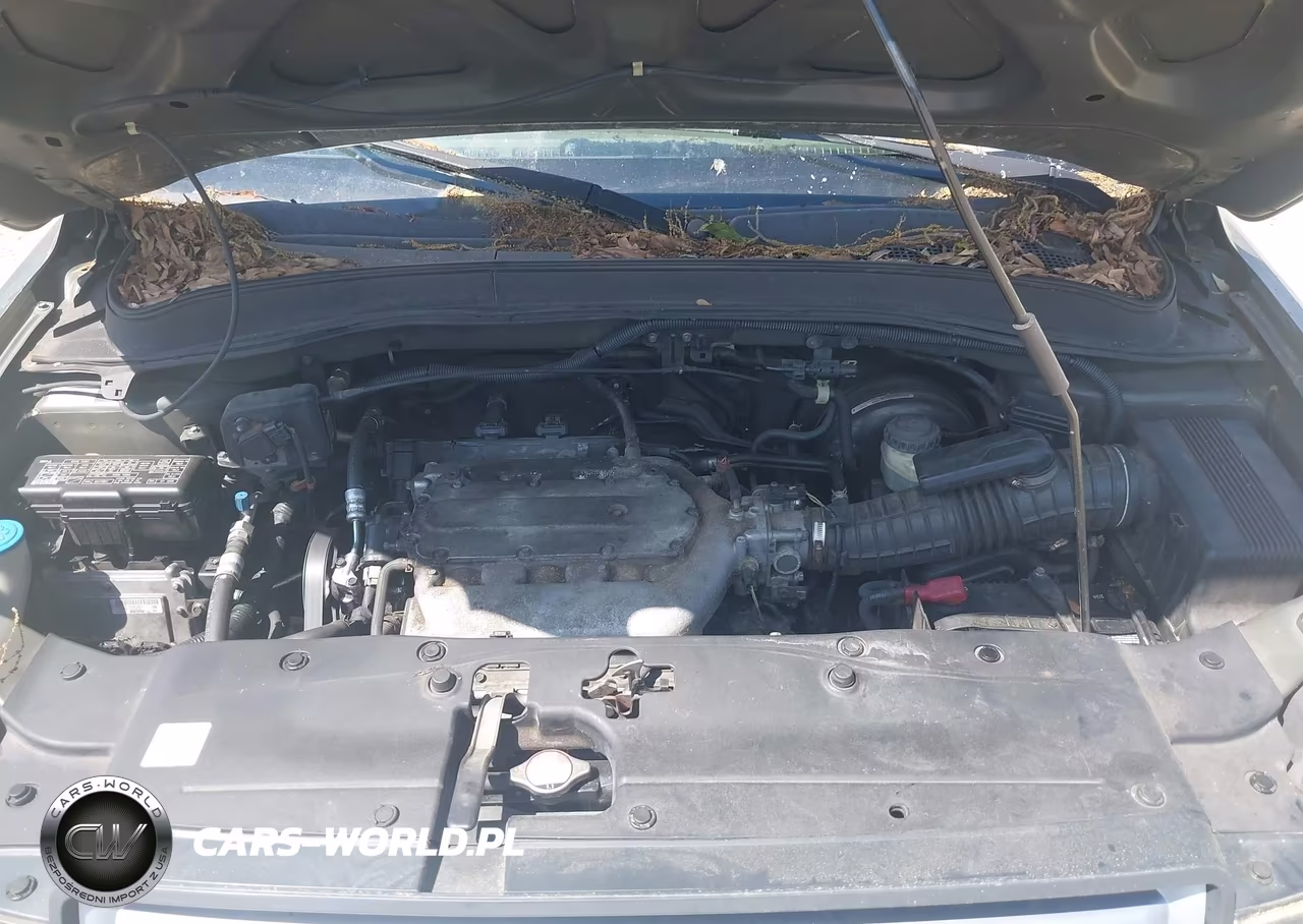 2006 Honda Pilot Ex-L VIN:5FNYF28576B031379 - 10