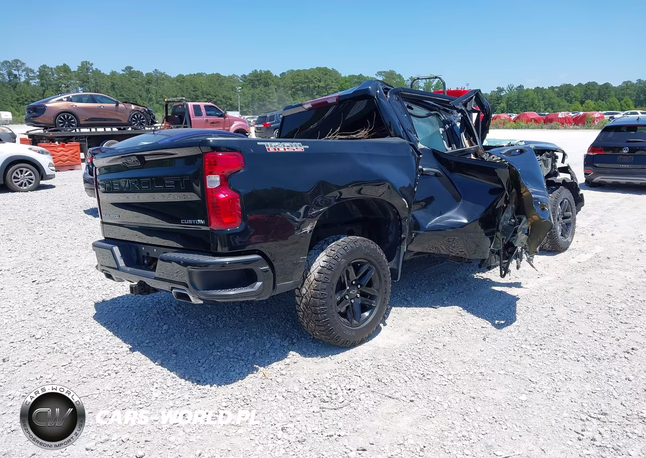 2022 Chevrolet Silverado 1500 4Wd Short Bed Custom Trail Boss VIN:3GCPDCED6NG685530 - 4