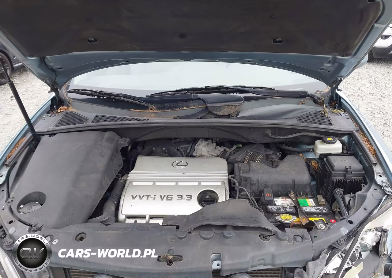 2005 Lexus Rx 330 VIN:2T2HA31U05C077575 - 10