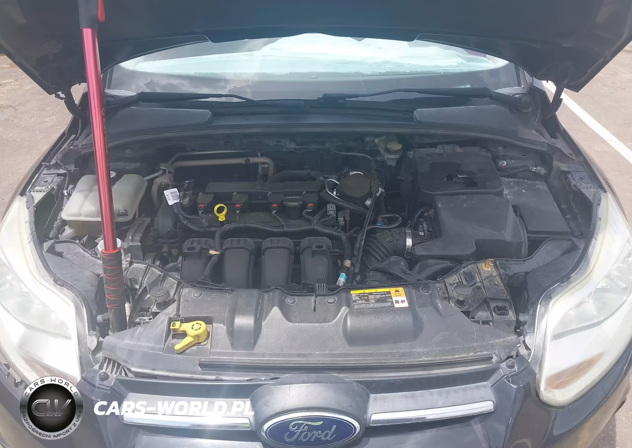 2014 Ford Focus Se VIN:1FADP3F20EL254052 - 10