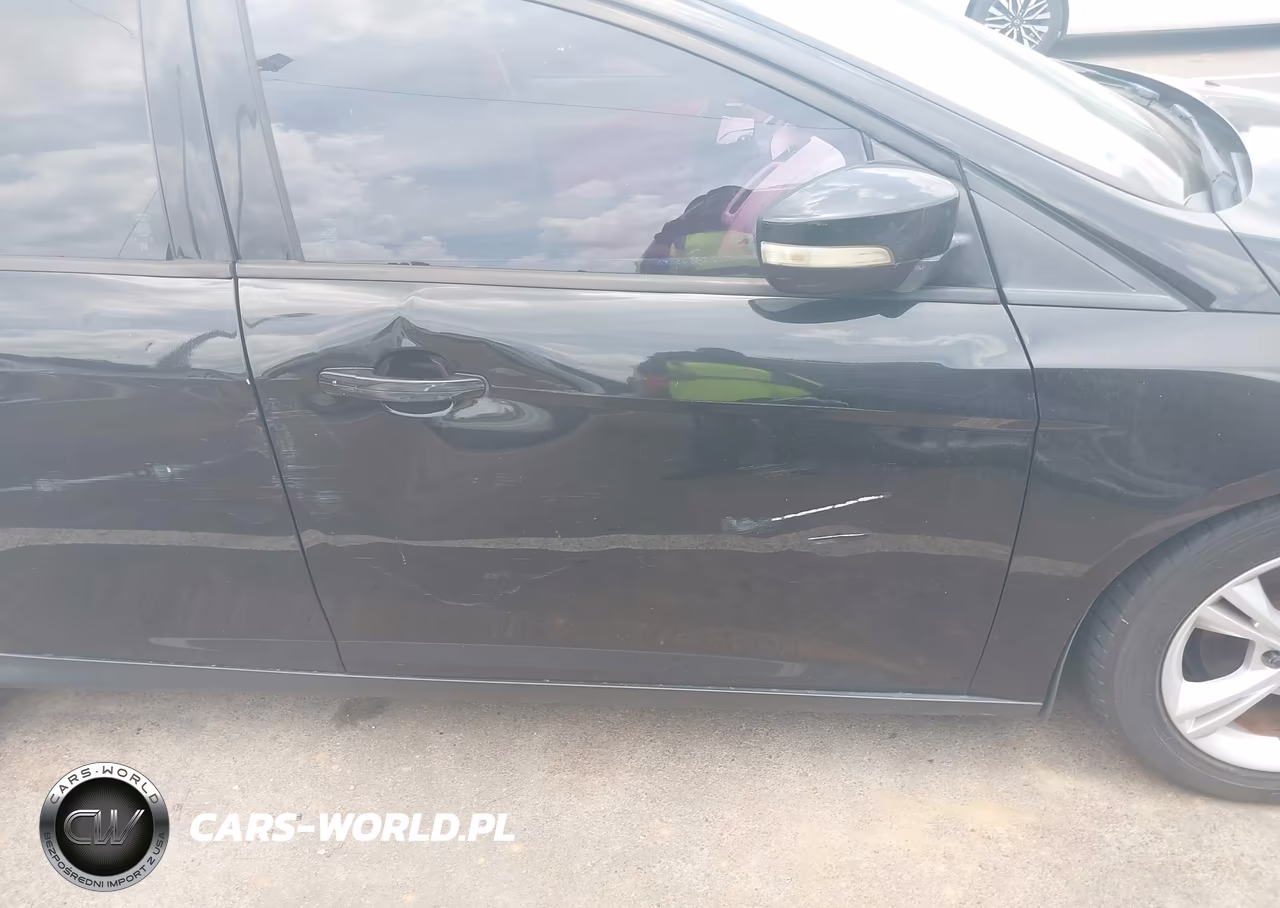 2014 Ford Focus Se VIN:1FADP3F20EL254052 - 12