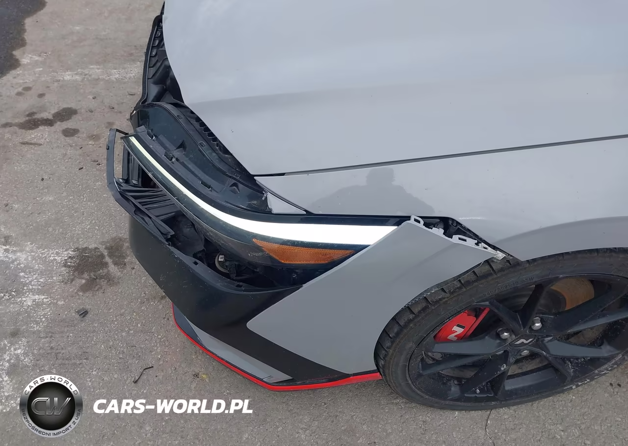 2025 Hyundai Elantra N VIN:KMHLW4DK8SU027954 - 19