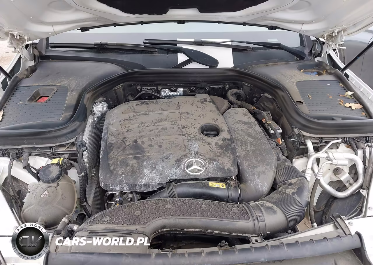 2020 Mercedes-Benz Glc 300 VIN:W1N0G8DB4LF863819 - 10