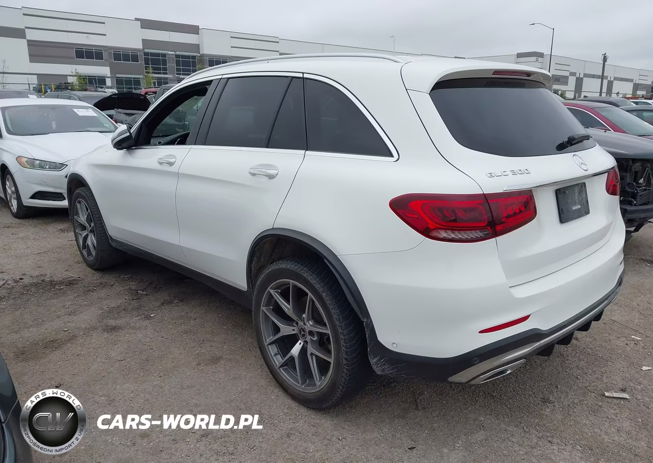 2020 Mercedes-Benz Glc 300 VIN:W1N0G8DB4LF863819 - 3