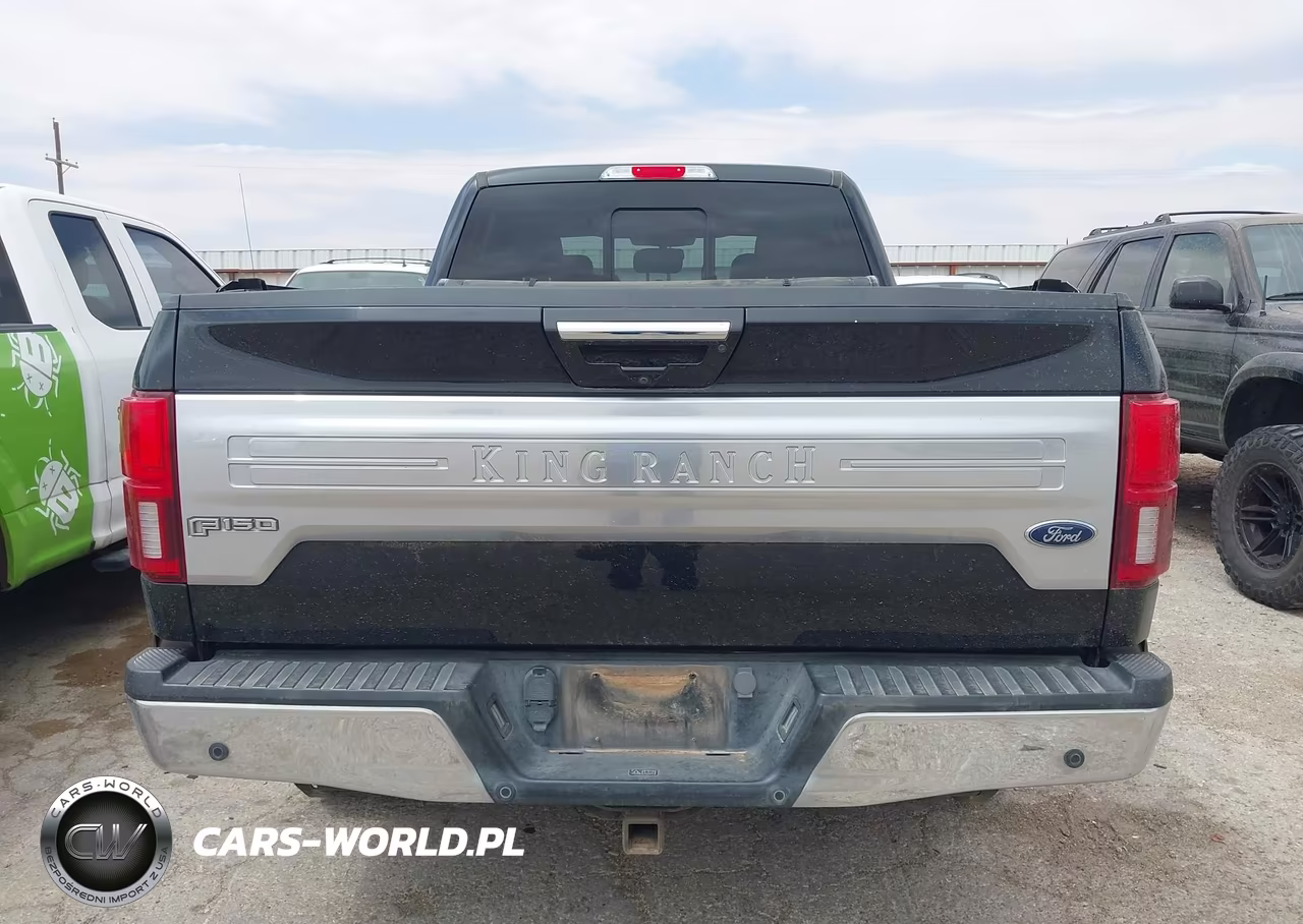 2019 Ford F-150 King Ranch VIN:1FTEW1C51KFA61522 - 16