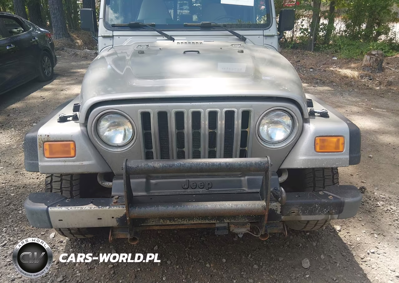 2000 Jeep Wrangler Sport VIN:1J4FA49S1YP766786 - 6