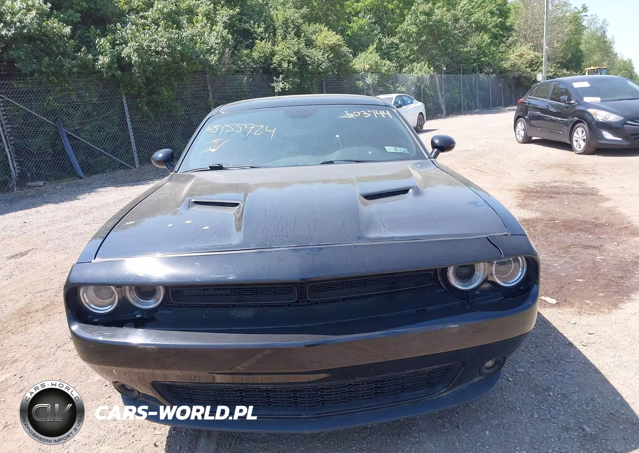 2019 Dodge Challenger Sxt VIN:2C3CDZAG2KH503744 - 13