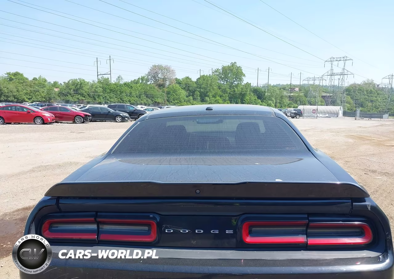 2019 Dodge Challenger Sxt VIN:2C3CDZAG2KH503744 - 17