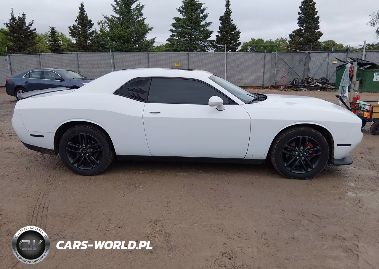 2019 Dodge Challenger Gt Awd VIN:2C3CDZKGXKH522170 - 13