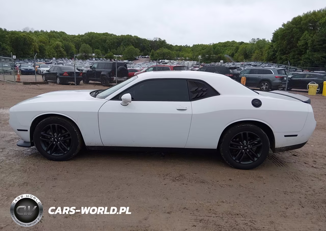 2019 Dodge Challenger Gt Awd VIN:2C3CDZKGXKH522170 - 14