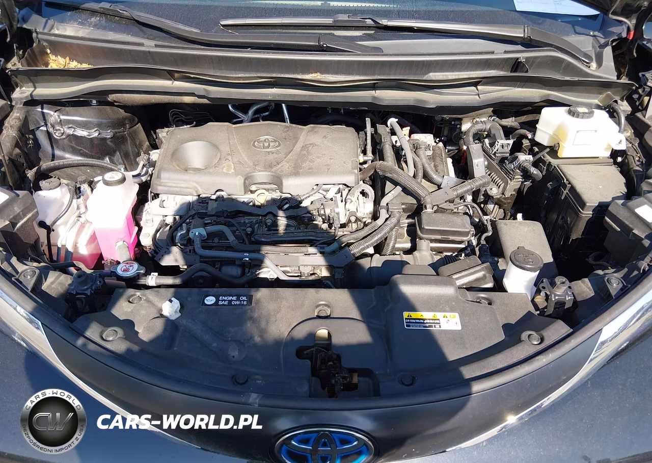 2023 Toyota Sienna Xle VIN:5TDYRKEC5PS173186 - 10