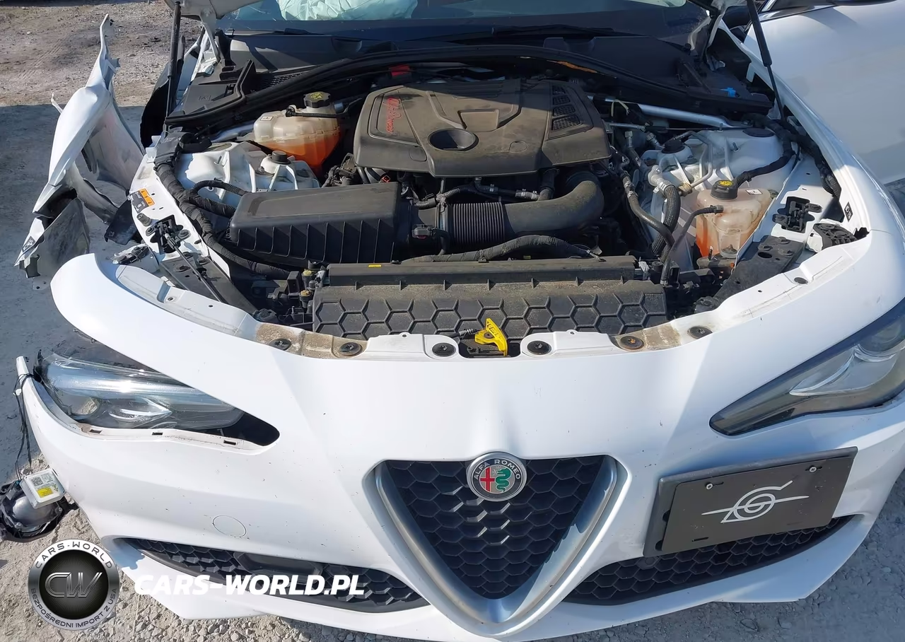 2018 Alfa Romeo Giulia Ti Lusso Awd VIN:ZARFAEEN5J7581003 - 10