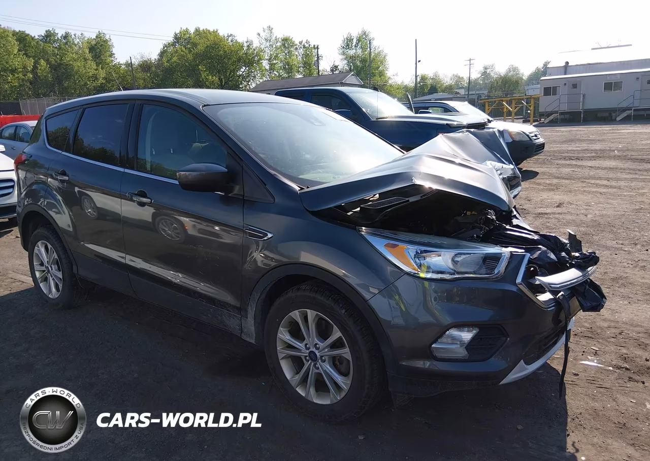 2019 Ford Escape Se