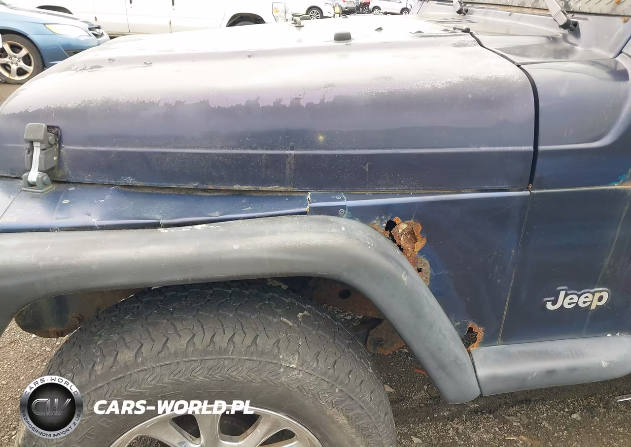 1999 Jeep Wrangler Se VIN:1J4FY29P3XP475183 - 15