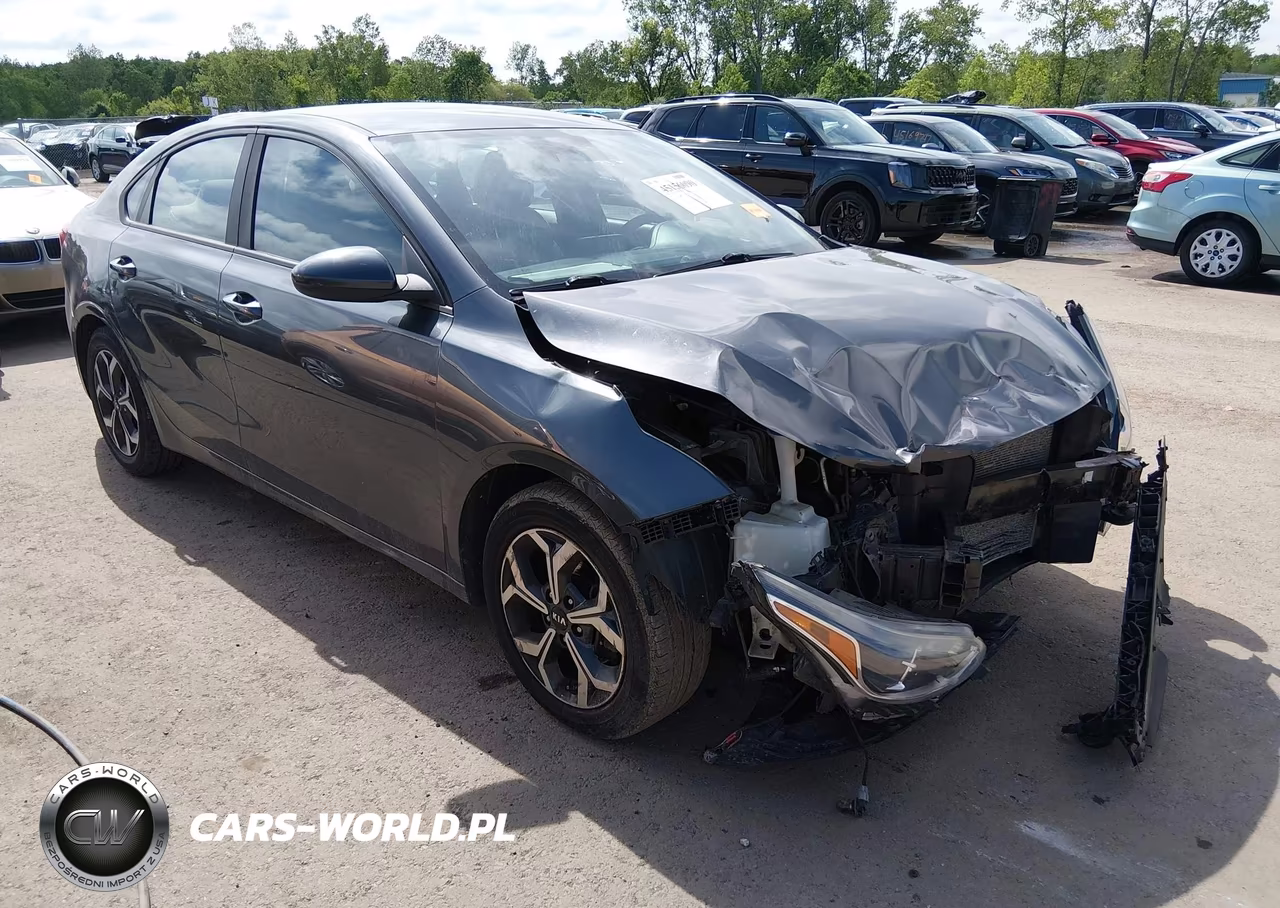 2019 Kia Forte Lxs