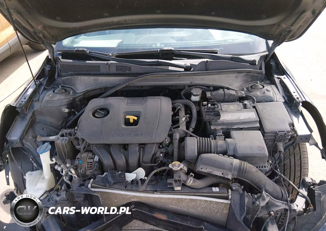2019 Kia Forte Lxs VIN:3KPF24AD8KE008371 - 10