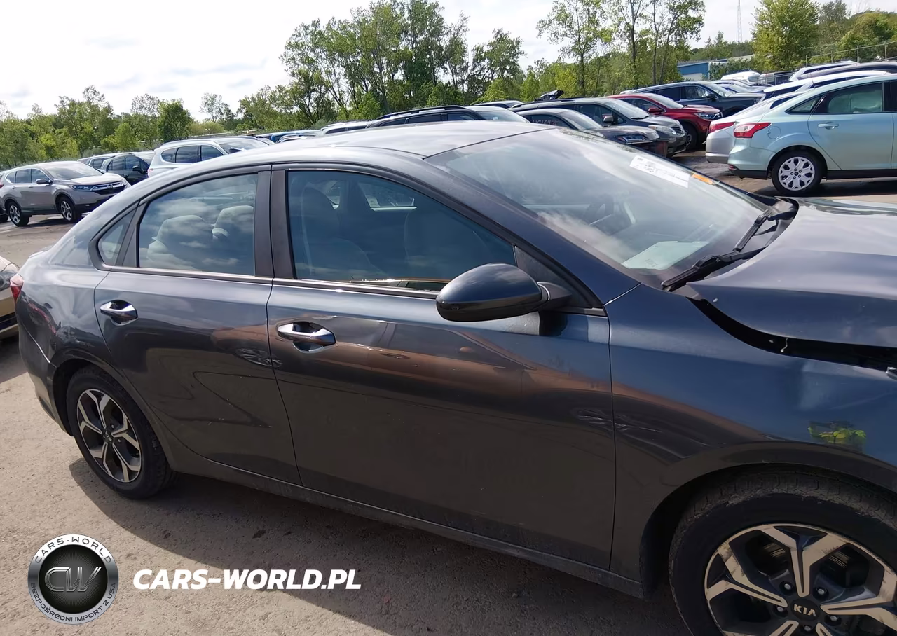 2019 Kia Forte Lxs VIN:3KPF24AD8KE008371 - 13
